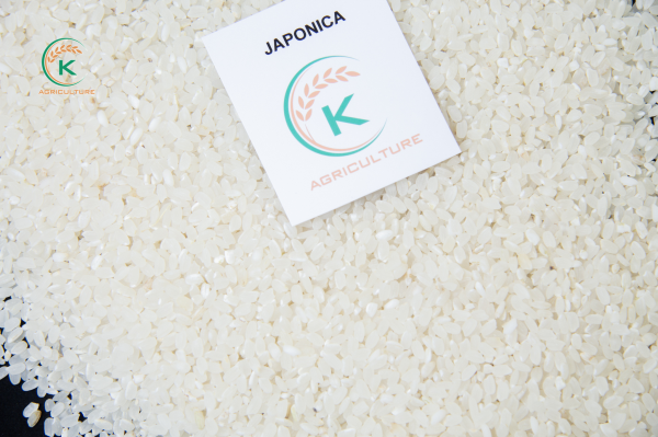 Gạo Japonica - Nông Sản Gia Vị K-Agriculture - Công Ty Cổ Phần Tập Đoàn K-Agriculture